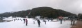 0806-1628 Thredbo